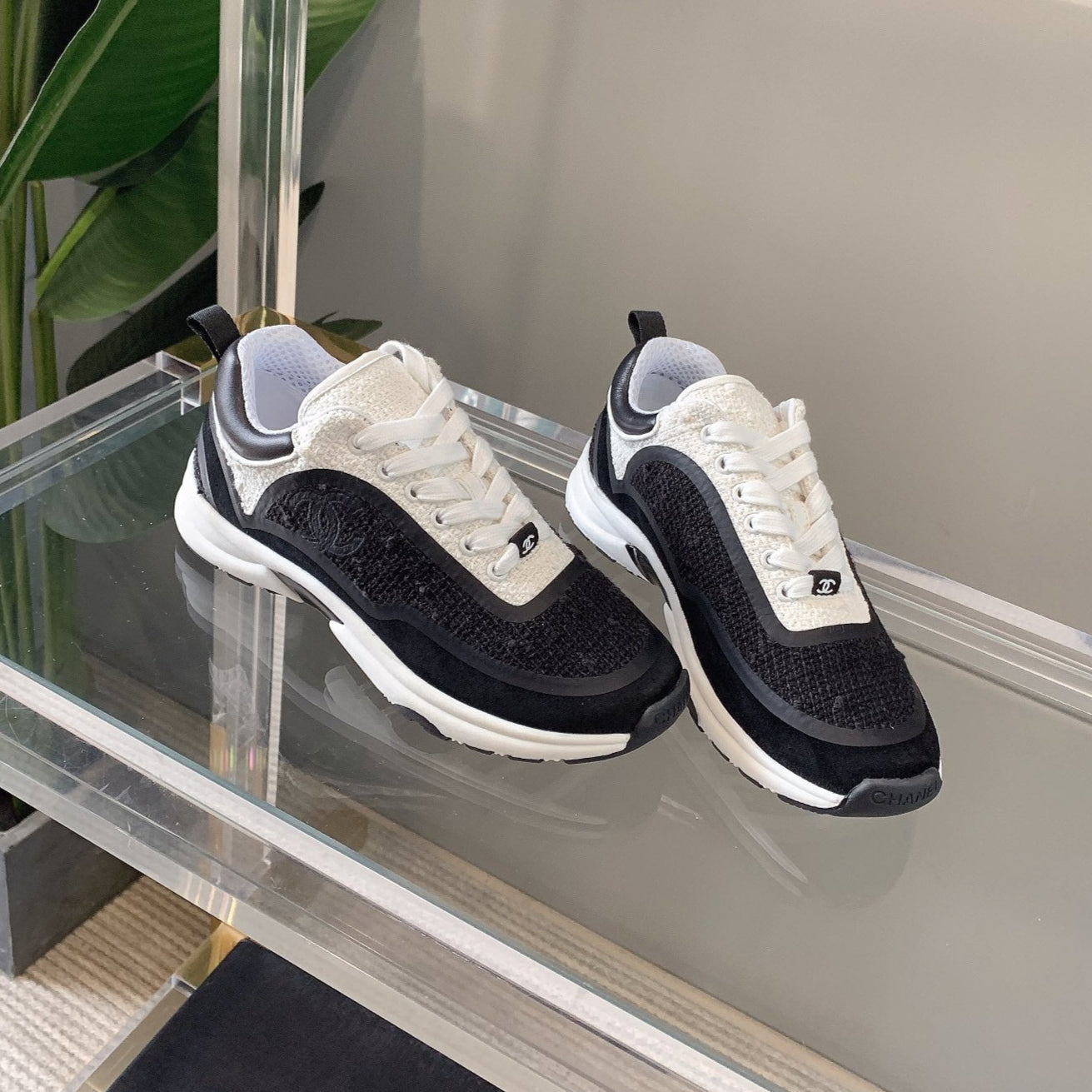 CC Sneaker In Black Wool 145622