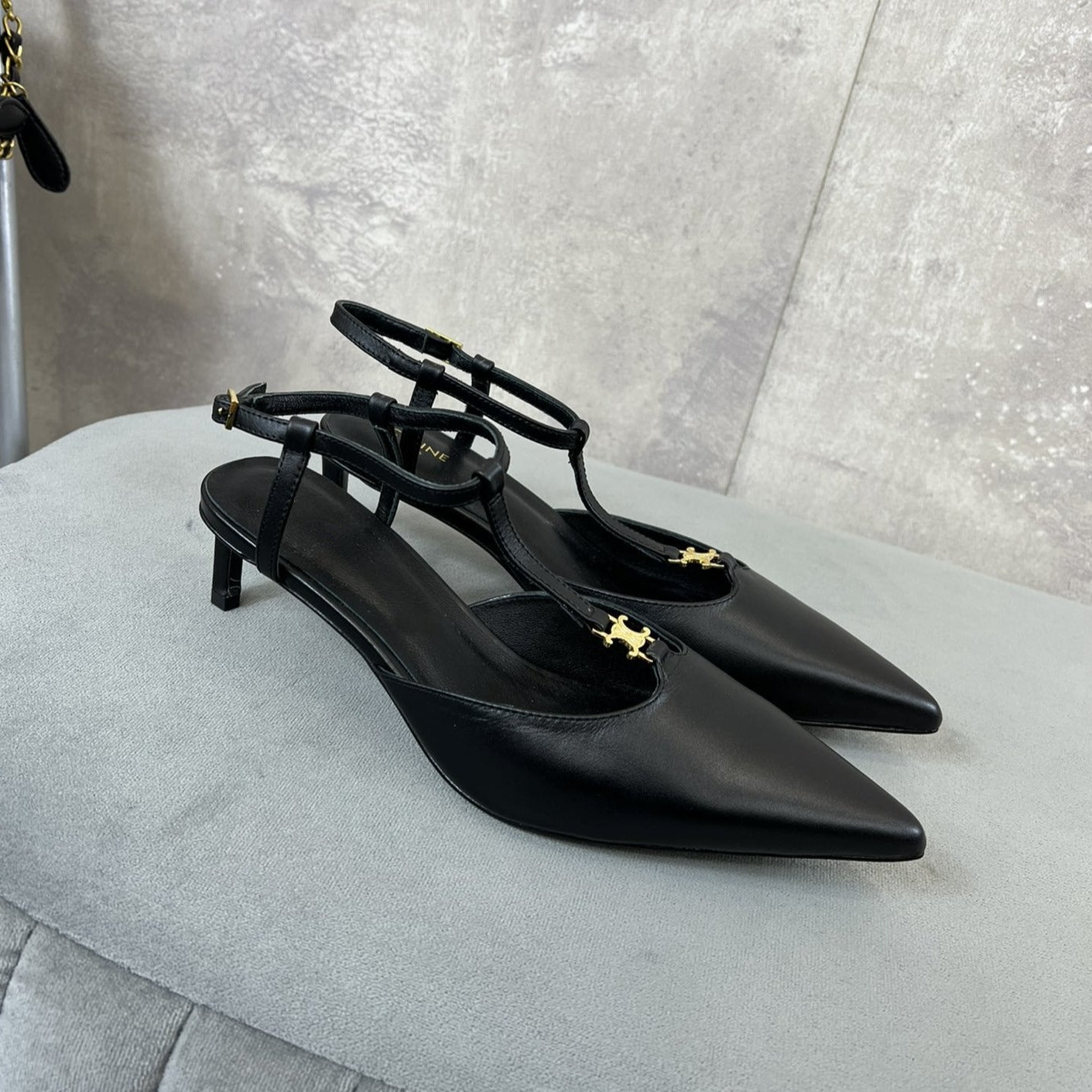 Celine Slingbacks & Pumps