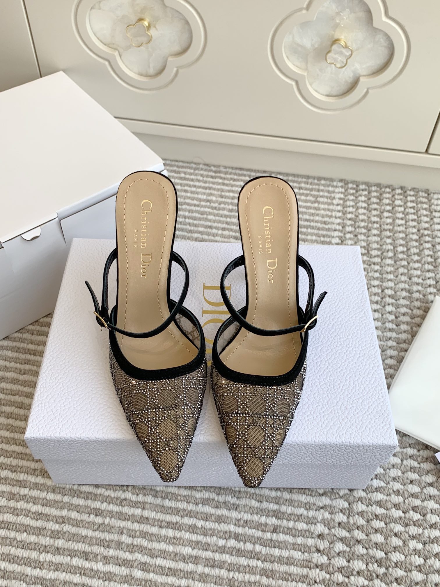 Dior 2026 Capture Heeled Mule 100mm Mesh 884749