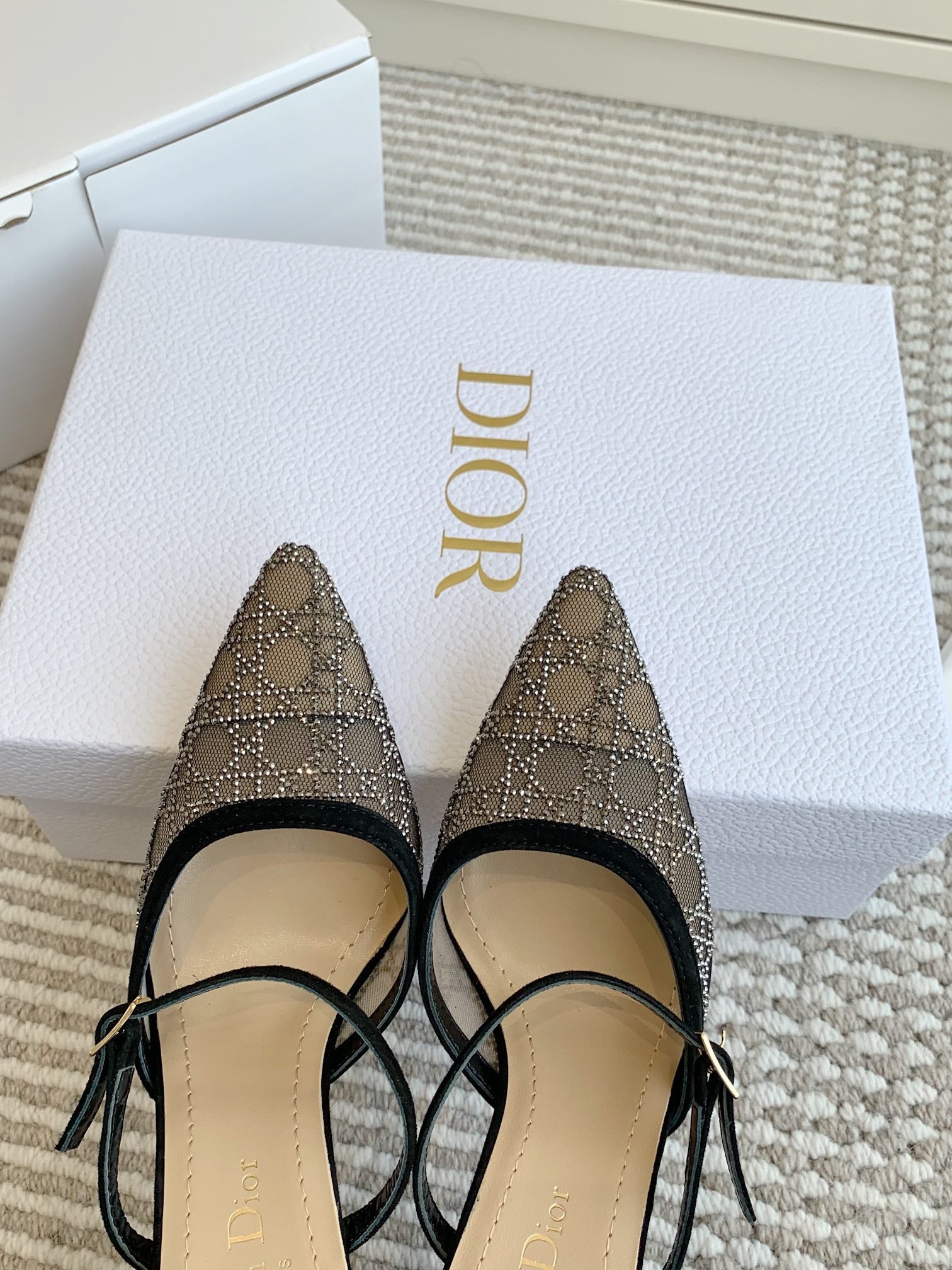 Dior 2026 Capture Heeled Mule 100mm Mesh 884749