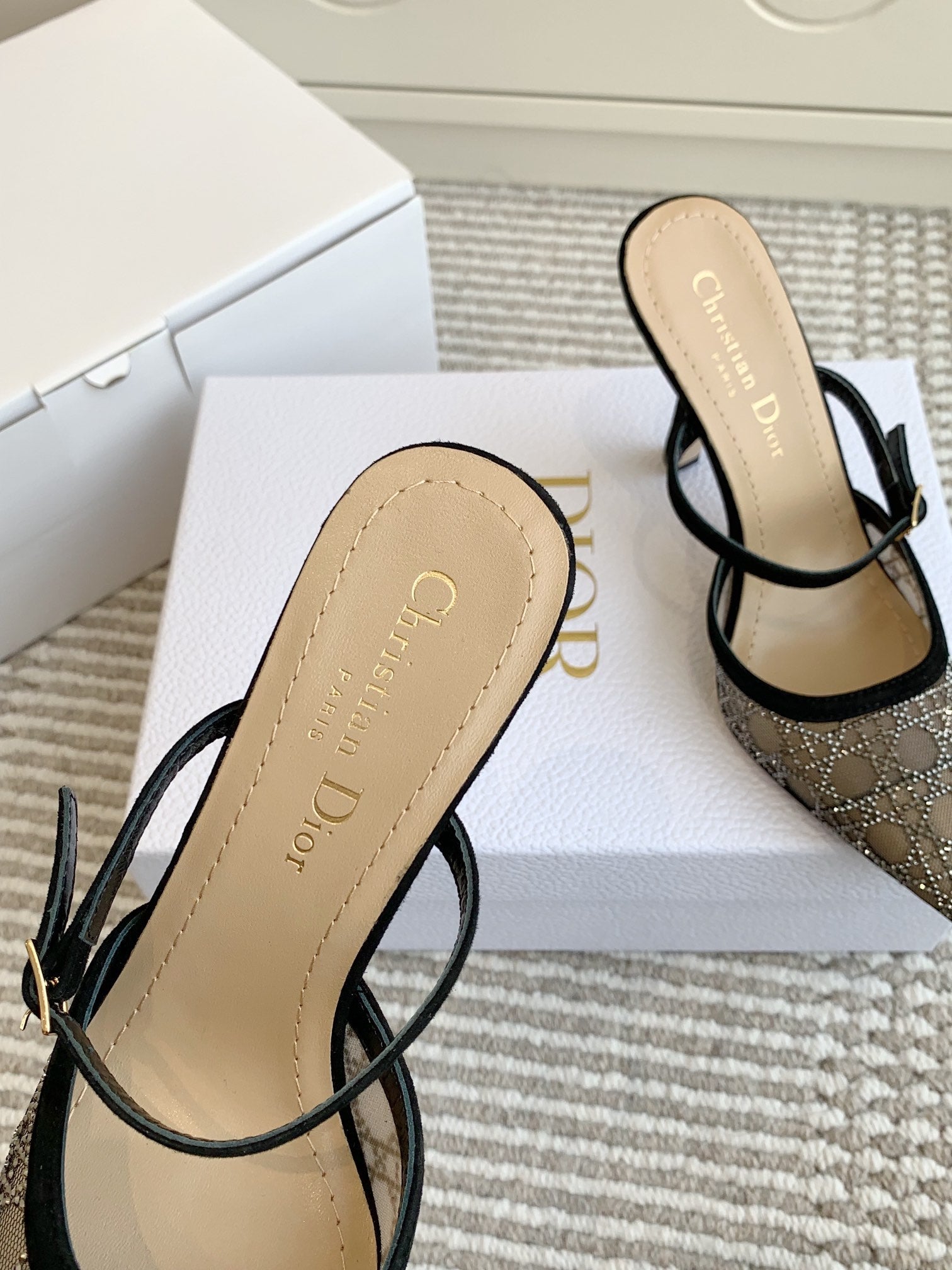 Dior 2026 Capture Heeled Mule 100mm Mesh 884749