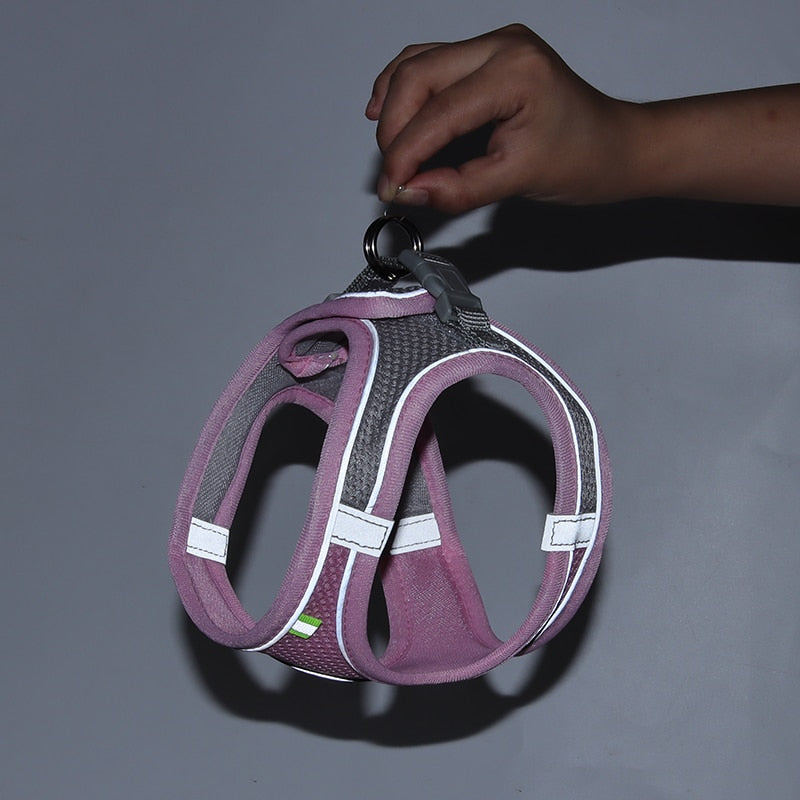 Ensemble Harnais + Laisse maille ultra respirante