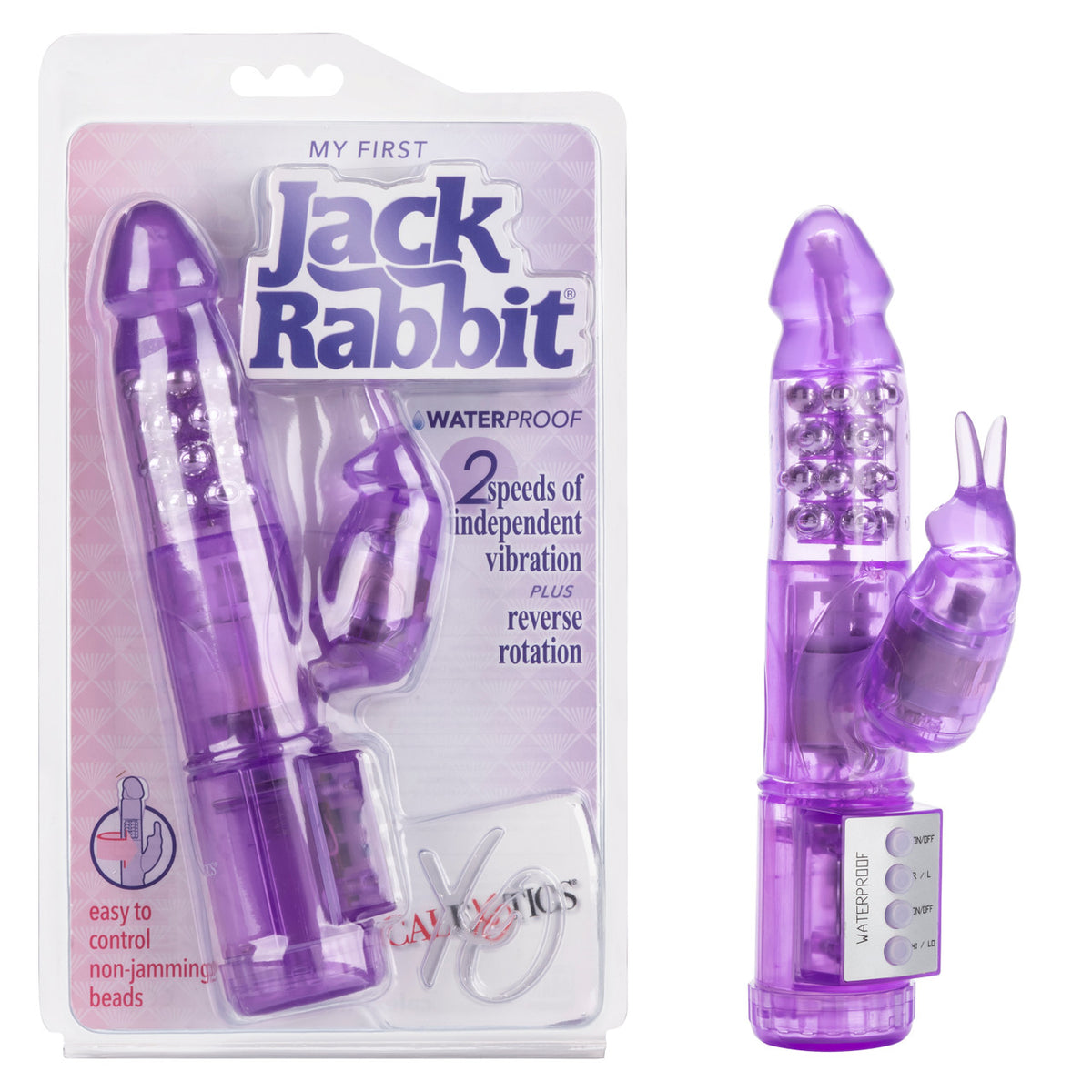 My First Jack Rabbit