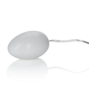 Pocket Exotic Egg Ivory Multi Speed Default Title