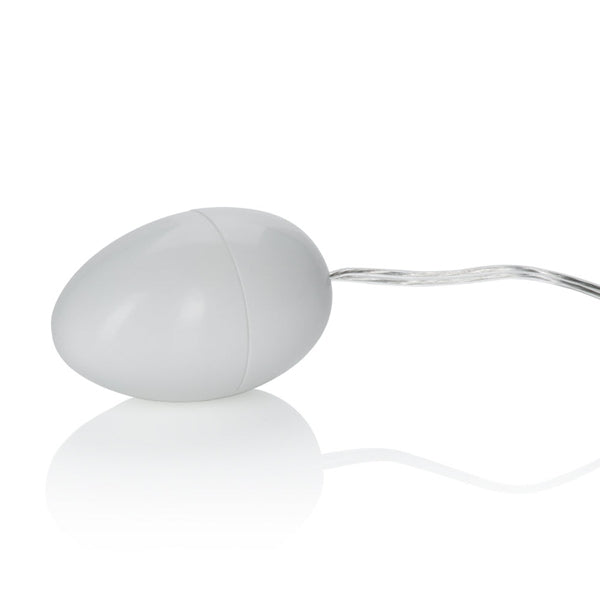Pocket Exotic Egg Ivory Multi Speed Default Title
