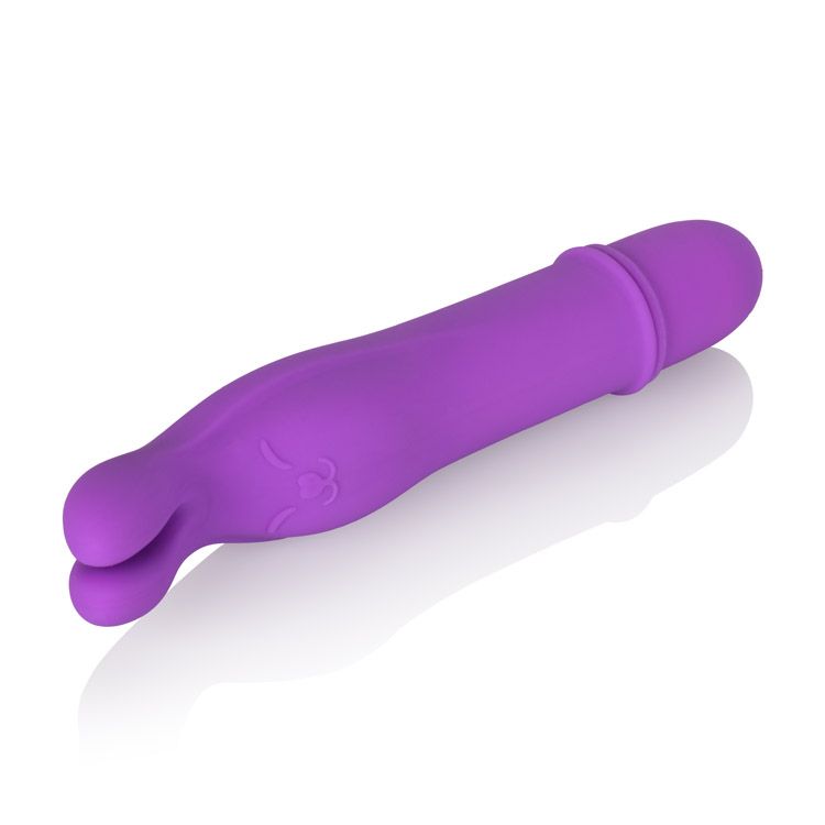 Shane's World Bedtime Bunny