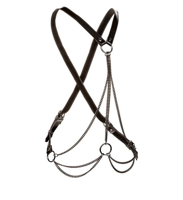 Euphoria Multi Chain Harness Default Title