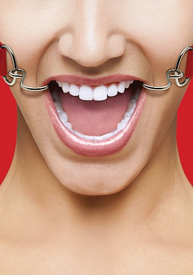 Hook Gag Red Default Title
