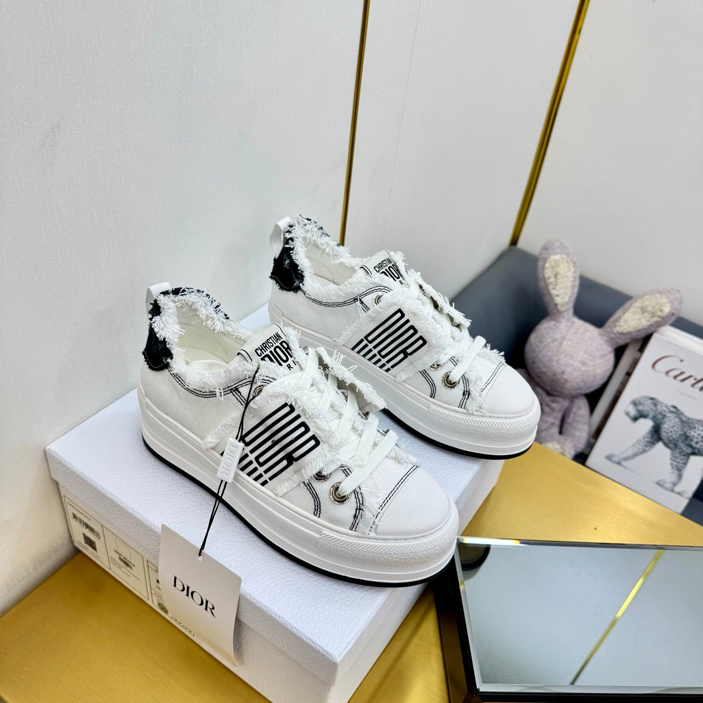 Dior 2026 Sneaker 50mm Canvas 927468