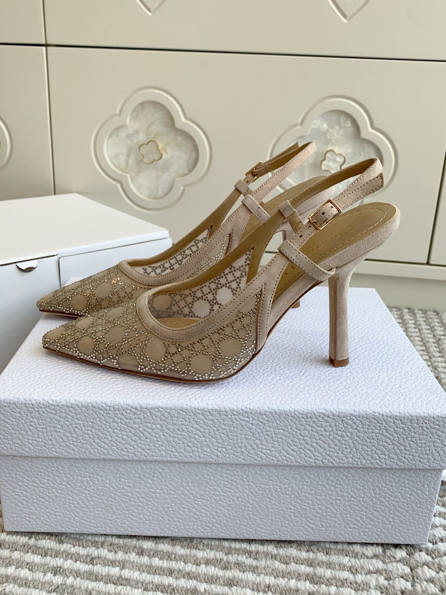Dior 2026 Slingback Pump Mesh 884753