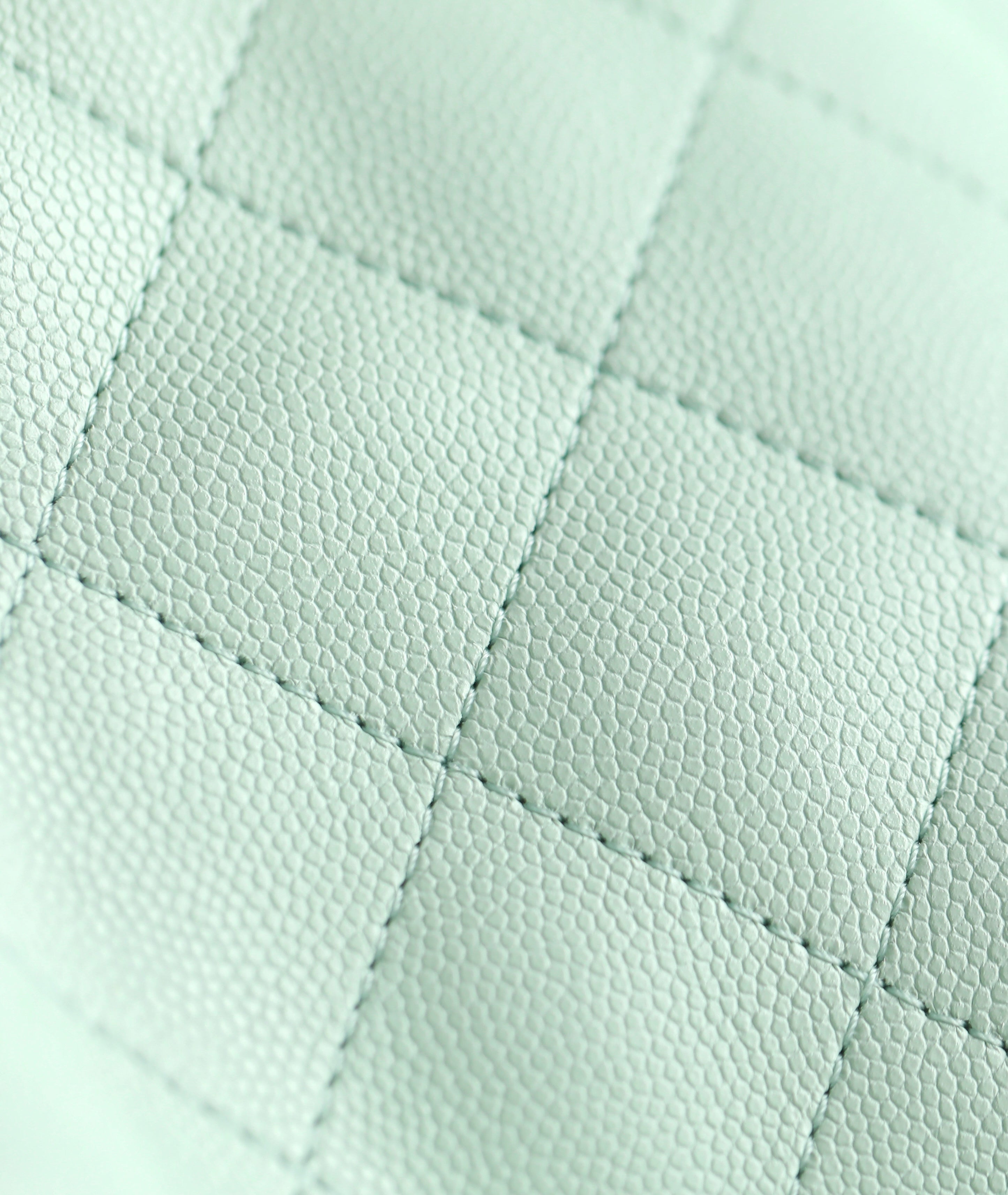 Chanel 2025 Hobo Bag 30cm Light Green Caviar Leather 338737