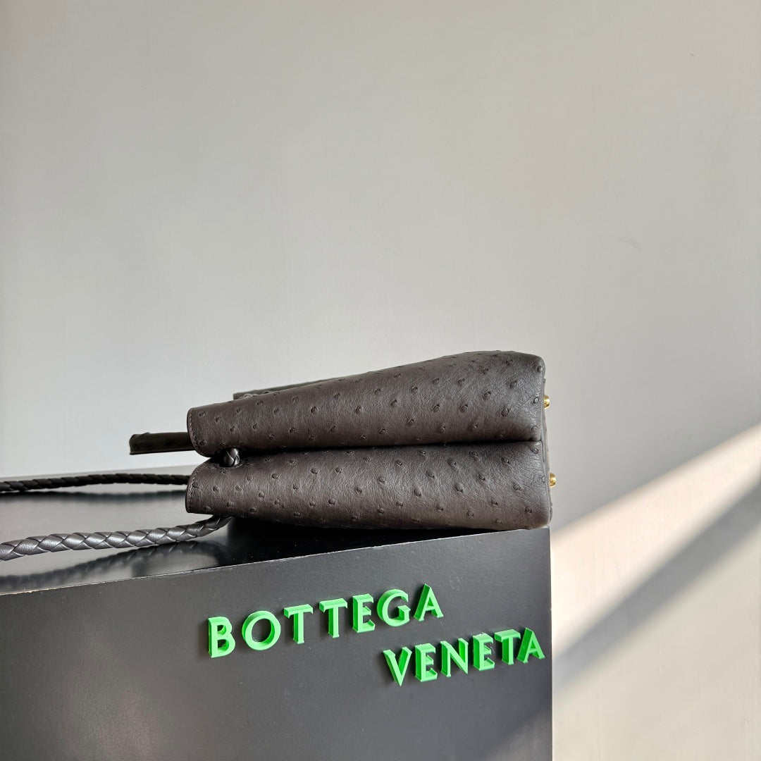 Bottega Veneta 2026 Andiamo Bag Dark Brown Ostrich Leather