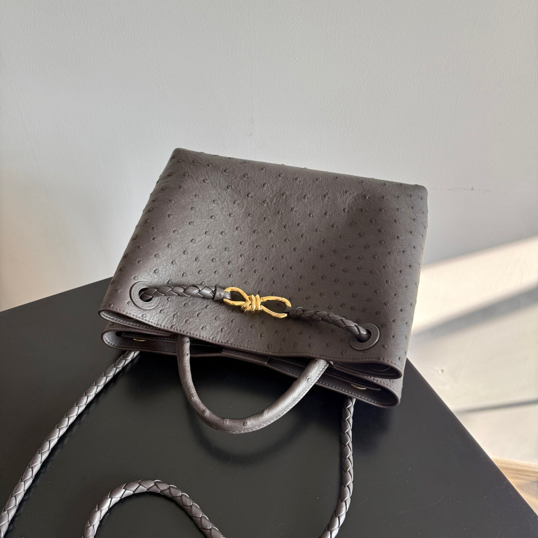 Bottega Veneta 2026 Andiamo Bag Dark Brown Ostrich Leather