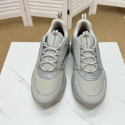 CD B22 Sneaker Grey Mesh Calfskin 648059
