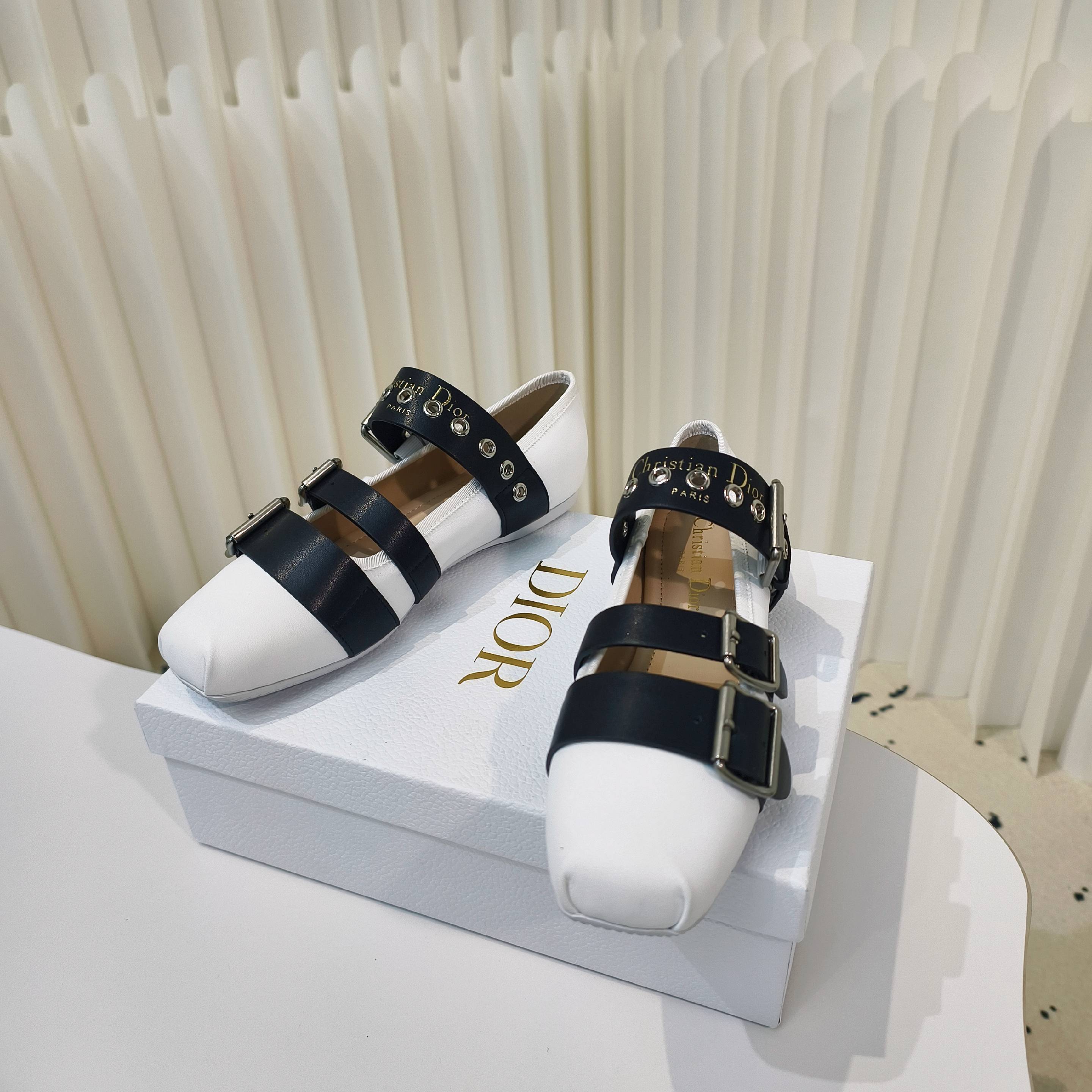 CD 25 Punk Ballet Flat  Calfskin and Suede 237991