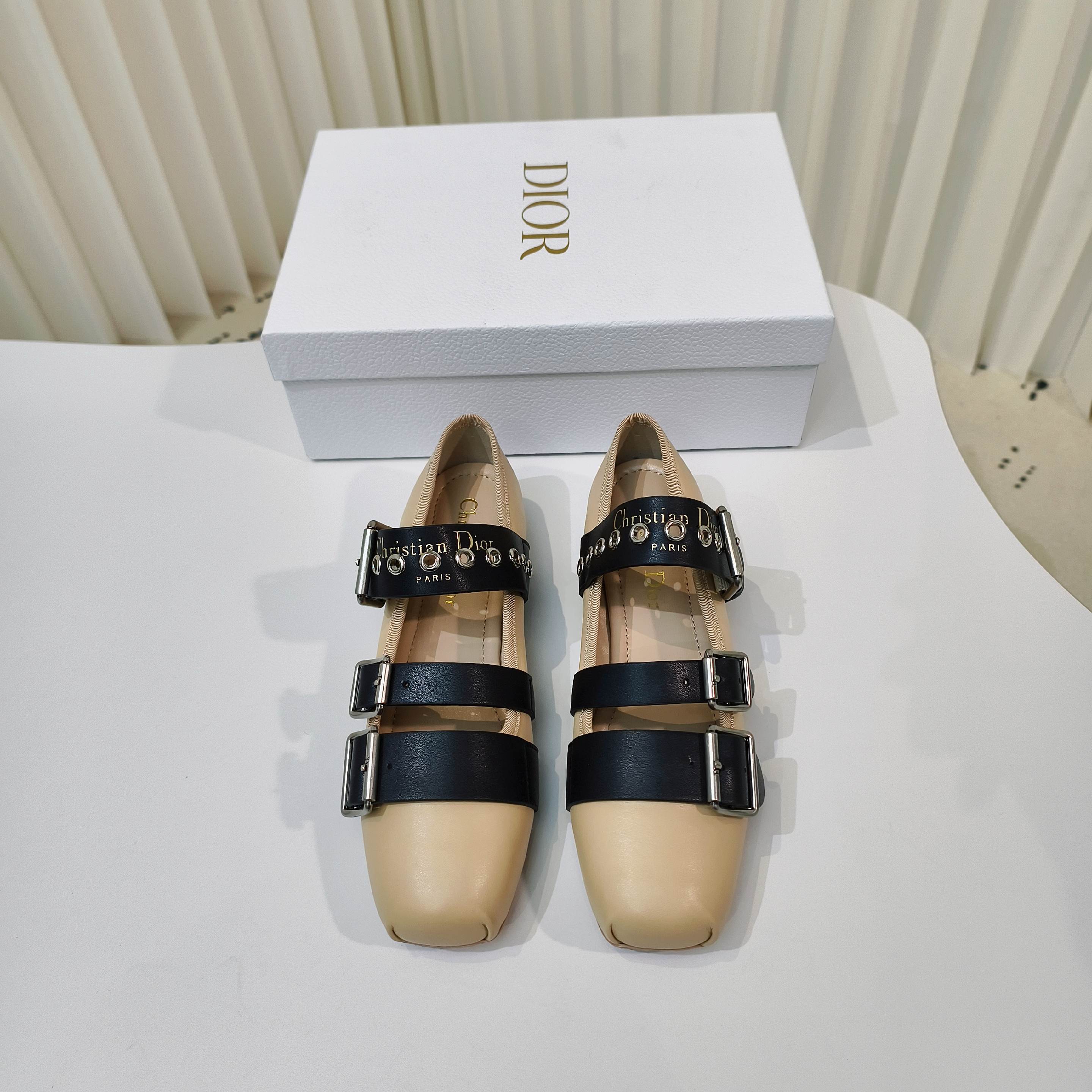CD 25 Punk Ballet Flat  Calfskin and Suede 237991