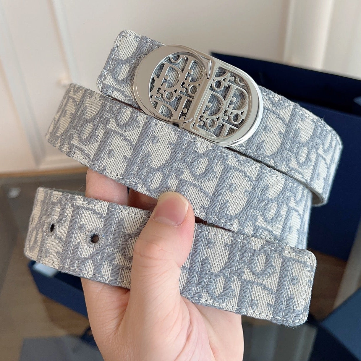 Dior 2026 Oblique CD Buckle Belt 35mm Gray Canvas 189413