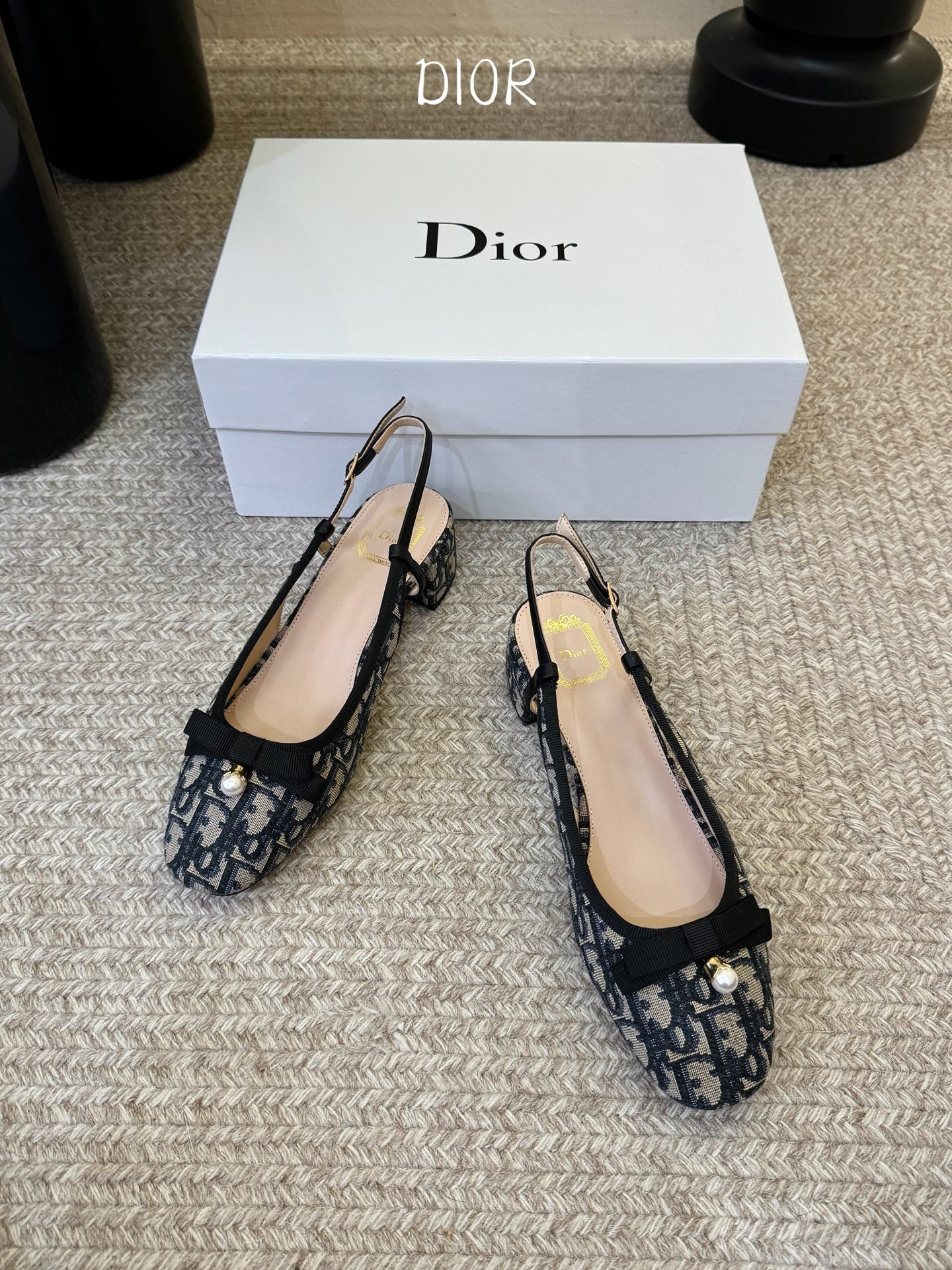 Dior 2026 Embroidered Slingback 30mm Cotton Leather 933329