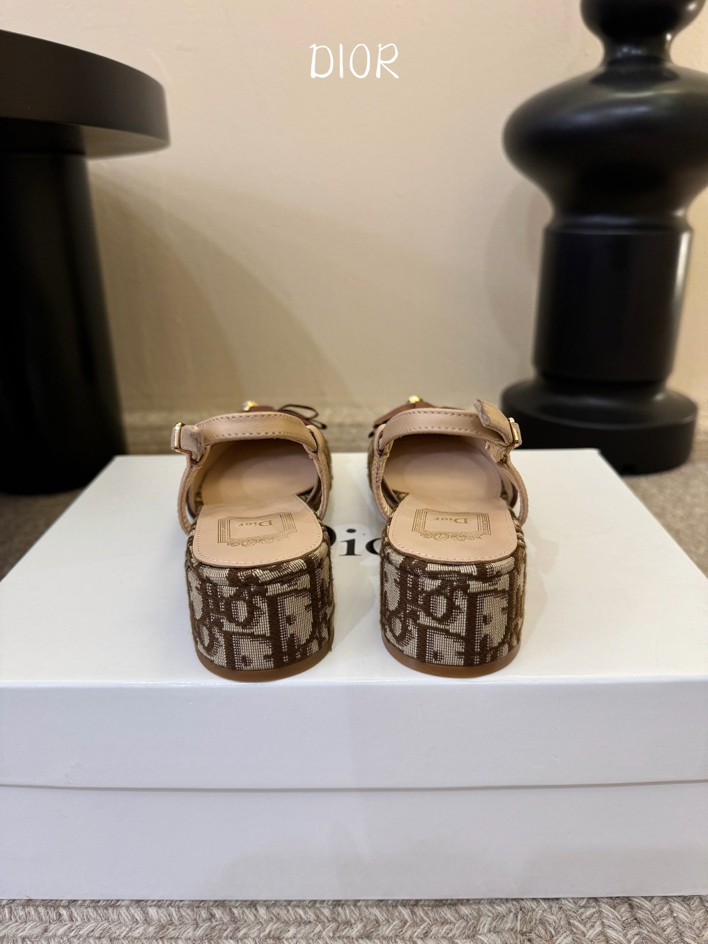 Dior 2026 Embroidered Slingback 30mm Cotton Leather 933329