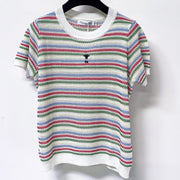 Dior 2026 Multi Color Striped Knit Short Sleeve T-shirt Wool Laine 405746
