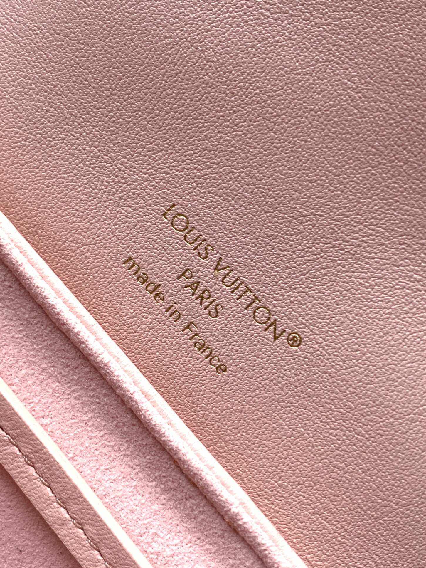 LV Coussin 20cm Backpack Pink Gold Leather 252653