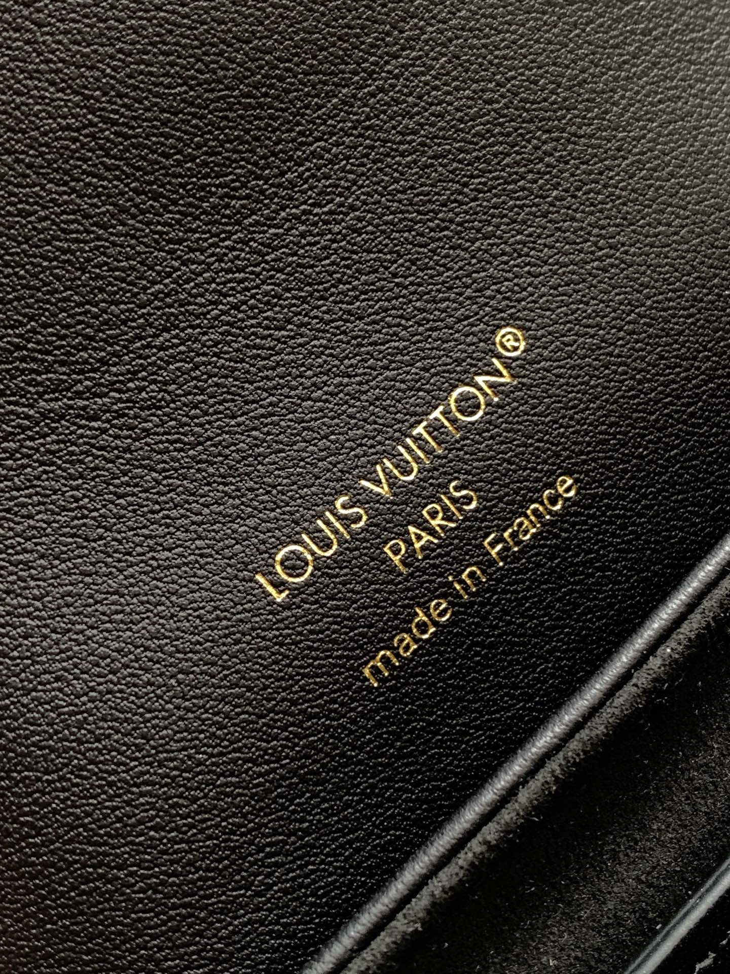 LV Coussin 20cm Backpack Black Gold Leather 252655