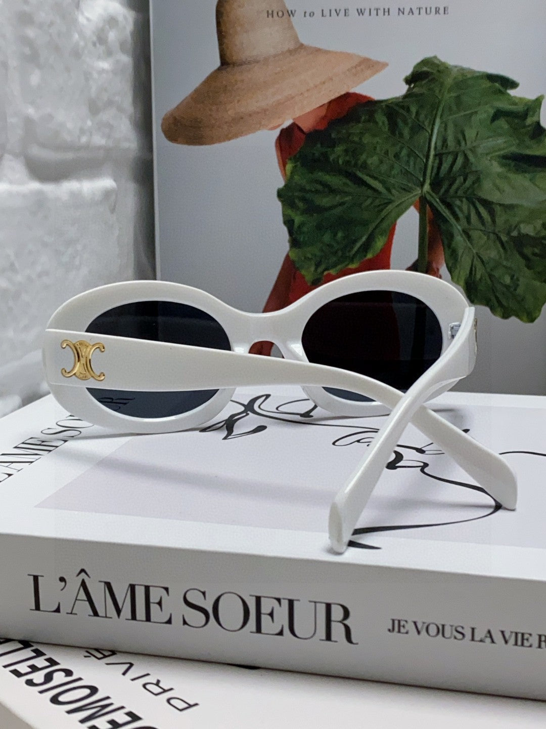 TRIOMPHE SUNGLASSES CL40194 IN ACETATE