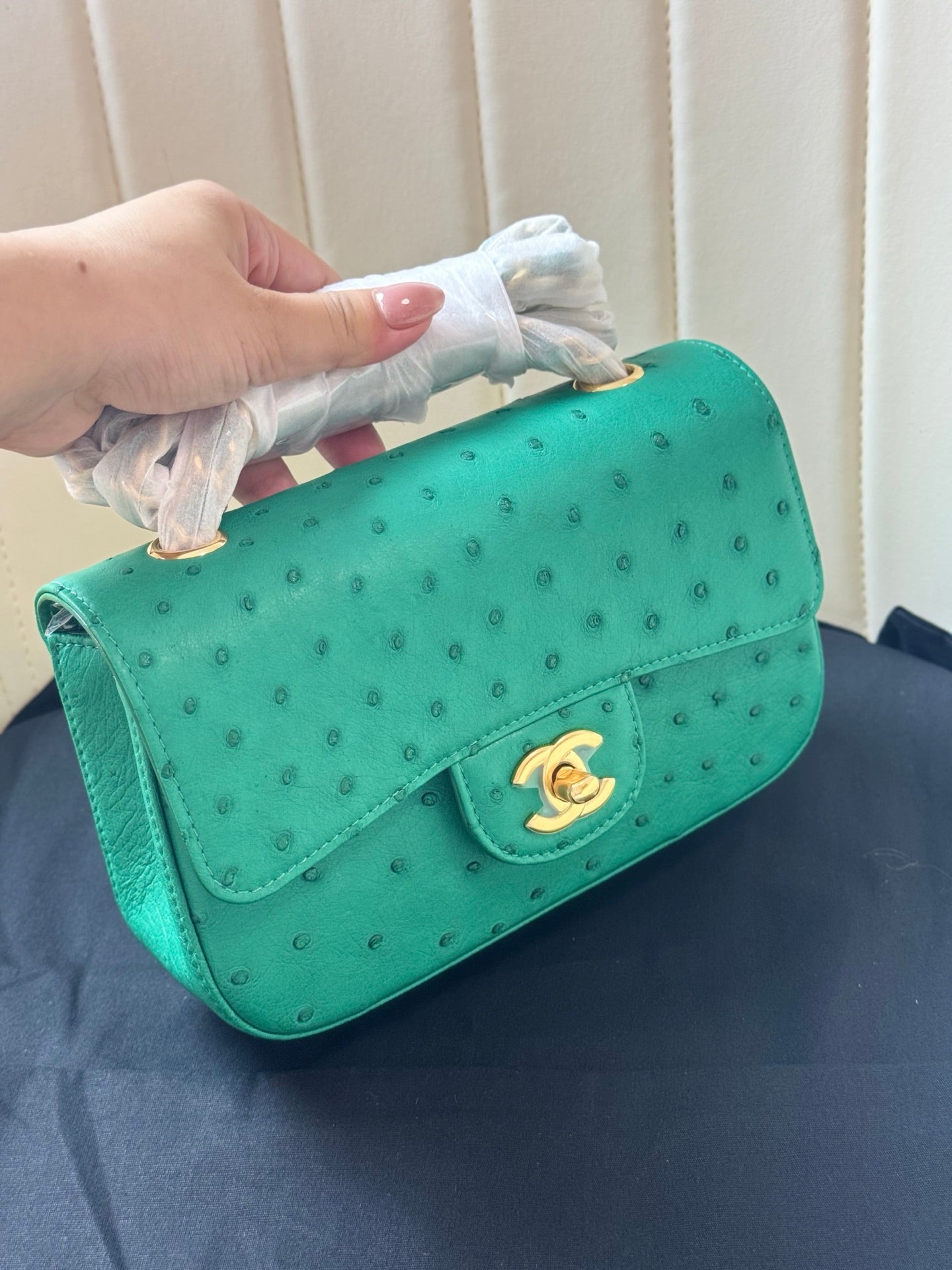 Chanel 2026 Flap Ostrich Embossed Bag 20cm Leather
