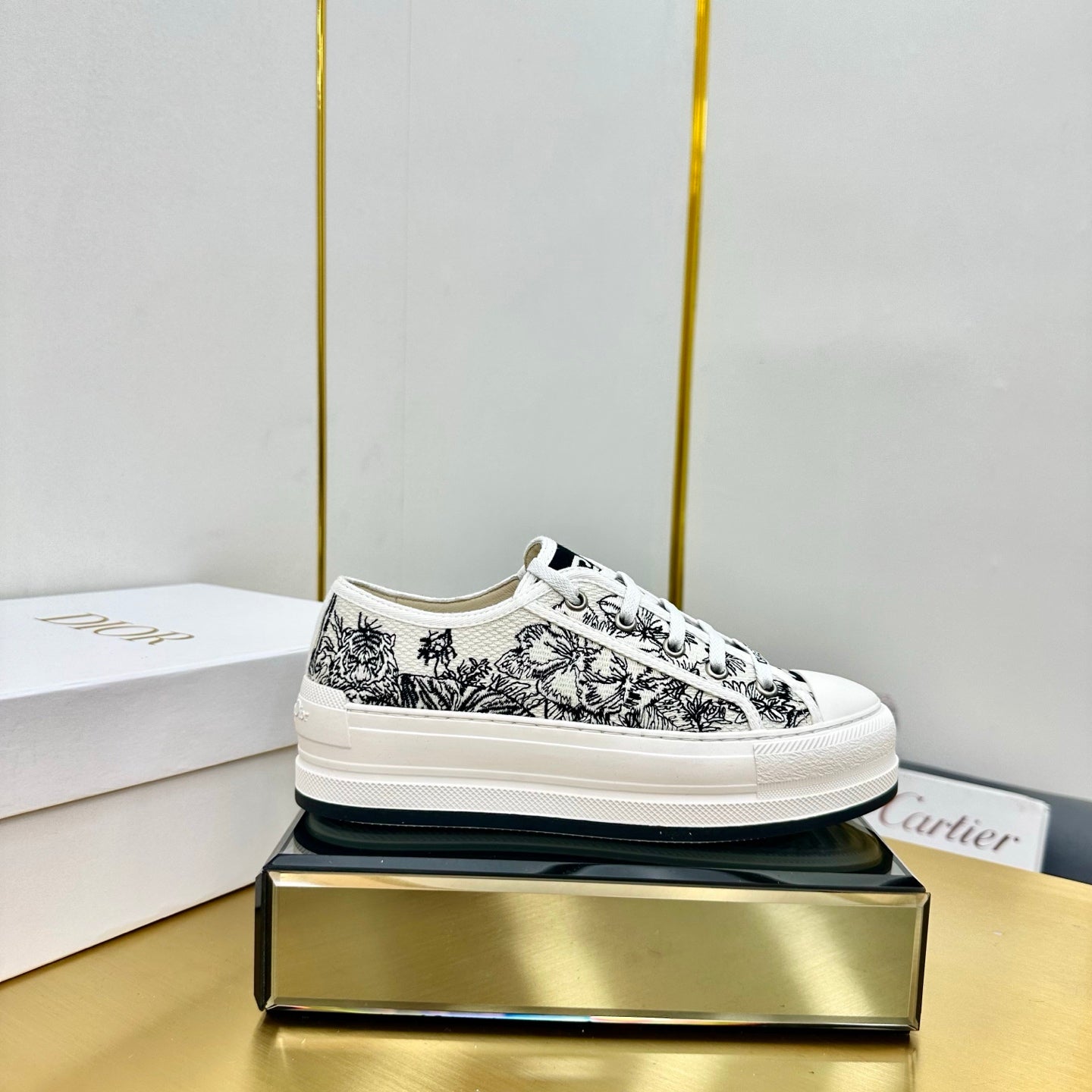 Dior 2026 Oblique Sneaker Canvas 927245