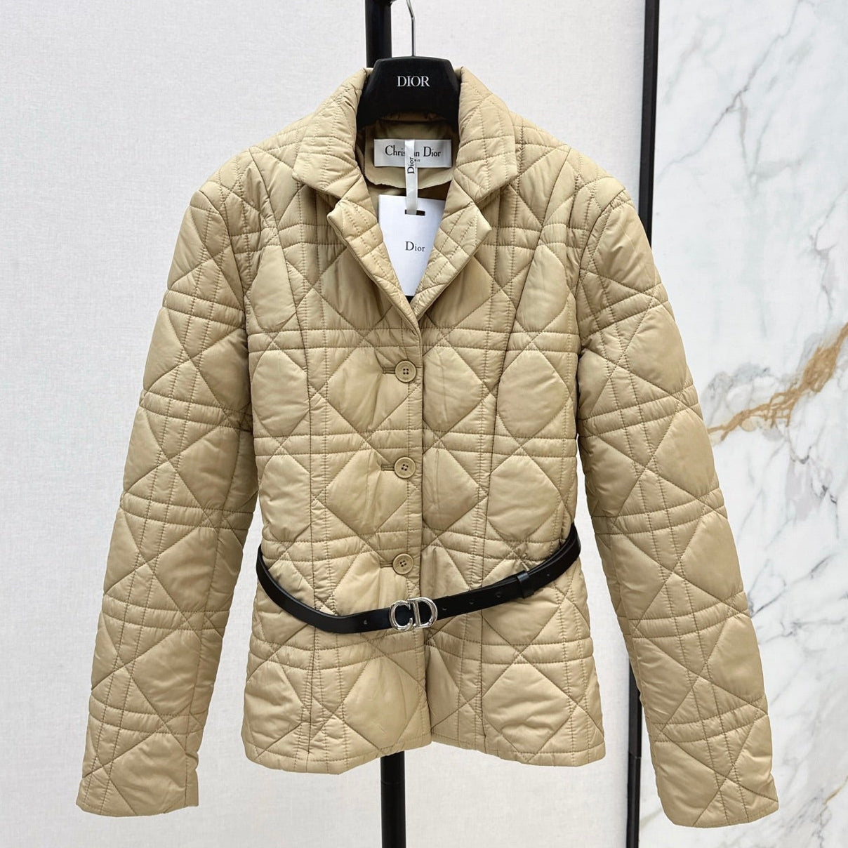 Dior 2026 Cannage Quilted Jacket Down Nylon 773944