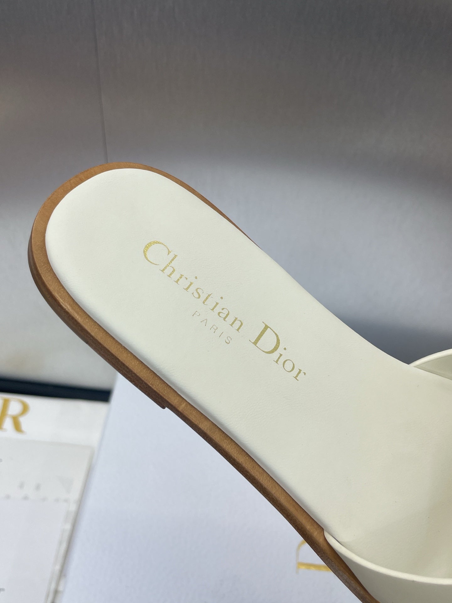 Dior 25 D-Club Slide Sandal White Calfskin 330322